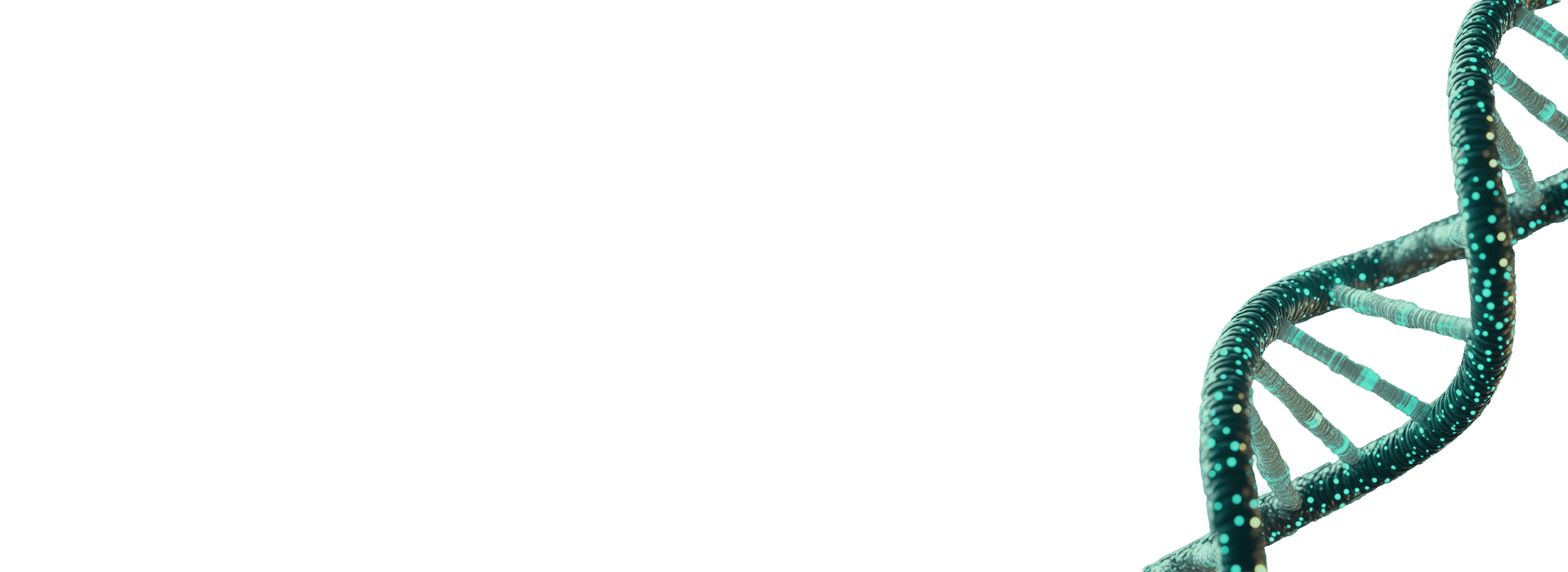 DNA helix
